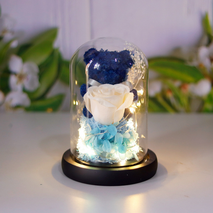 Eternal Rose LED Gift Set